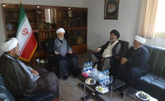 دکتر شهریاری در دیدار هیأت علمای پاکستان: الگوی «کنفرانس‌های منطقه‌ای وحدت» را برای گسترش تقریب در جهان اسلام توسعه داده‌ایم